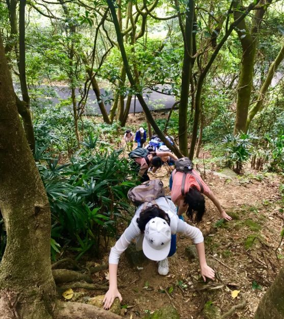 铸铁平板平台 第243页