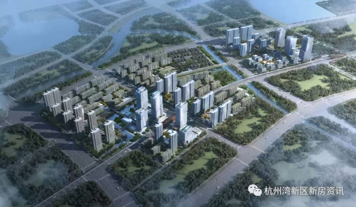 杭州湾最新动态更新，揭秘最新消息