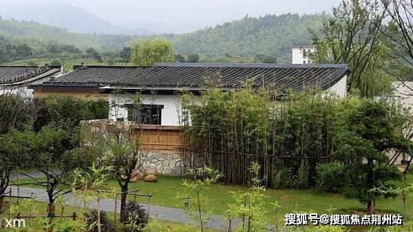 墨泥驾考最新版的优劣分析及其影响
